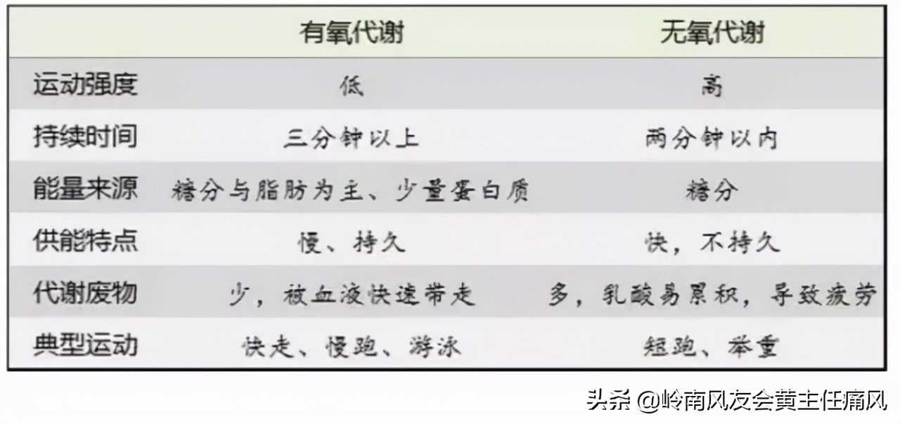 得了痛风可以力量训练吗,得了痛风多运动能否缓解疾病