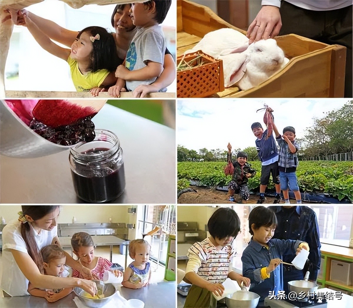 日本亲子农场主题乐园,日本妈妈牧场成功的原因