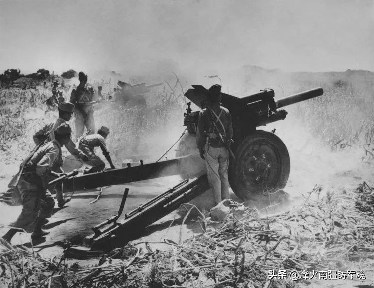 辽宁野生淡干海参,野生辽宁干海参