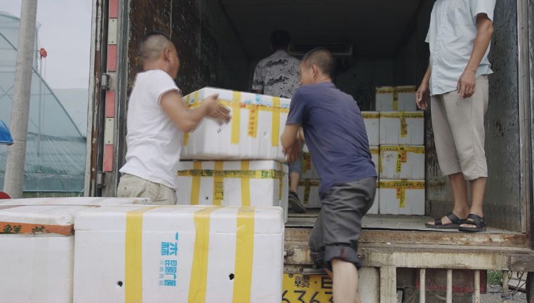 《加油吧！乡亲们》的叙事意境和感染力