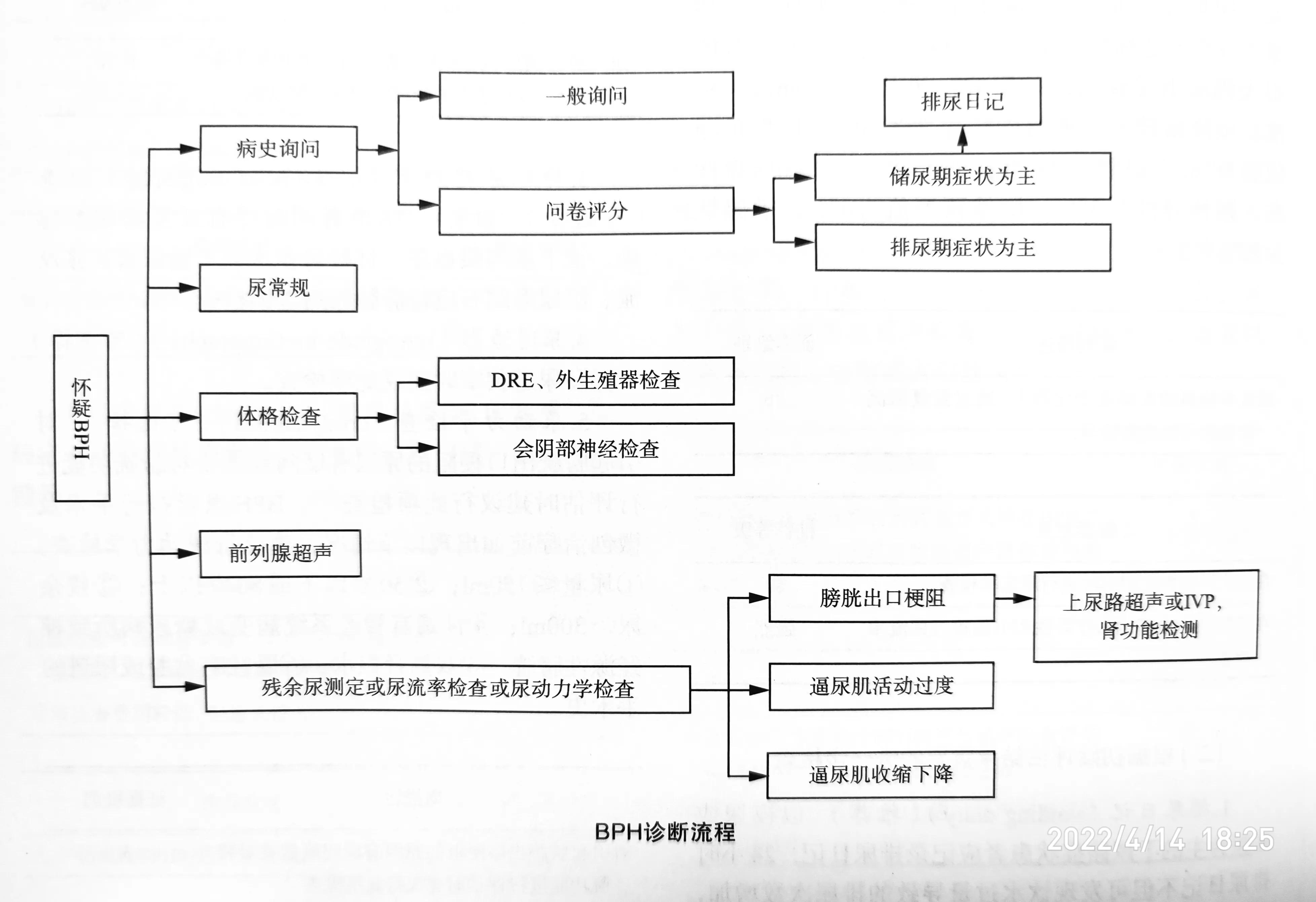 良性前列腺增生易发生在什么部位,为啥医生对良性前列腺增生不治疗