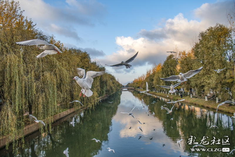 云南昆明生态旅游,昆明官渡区生态文化新城
