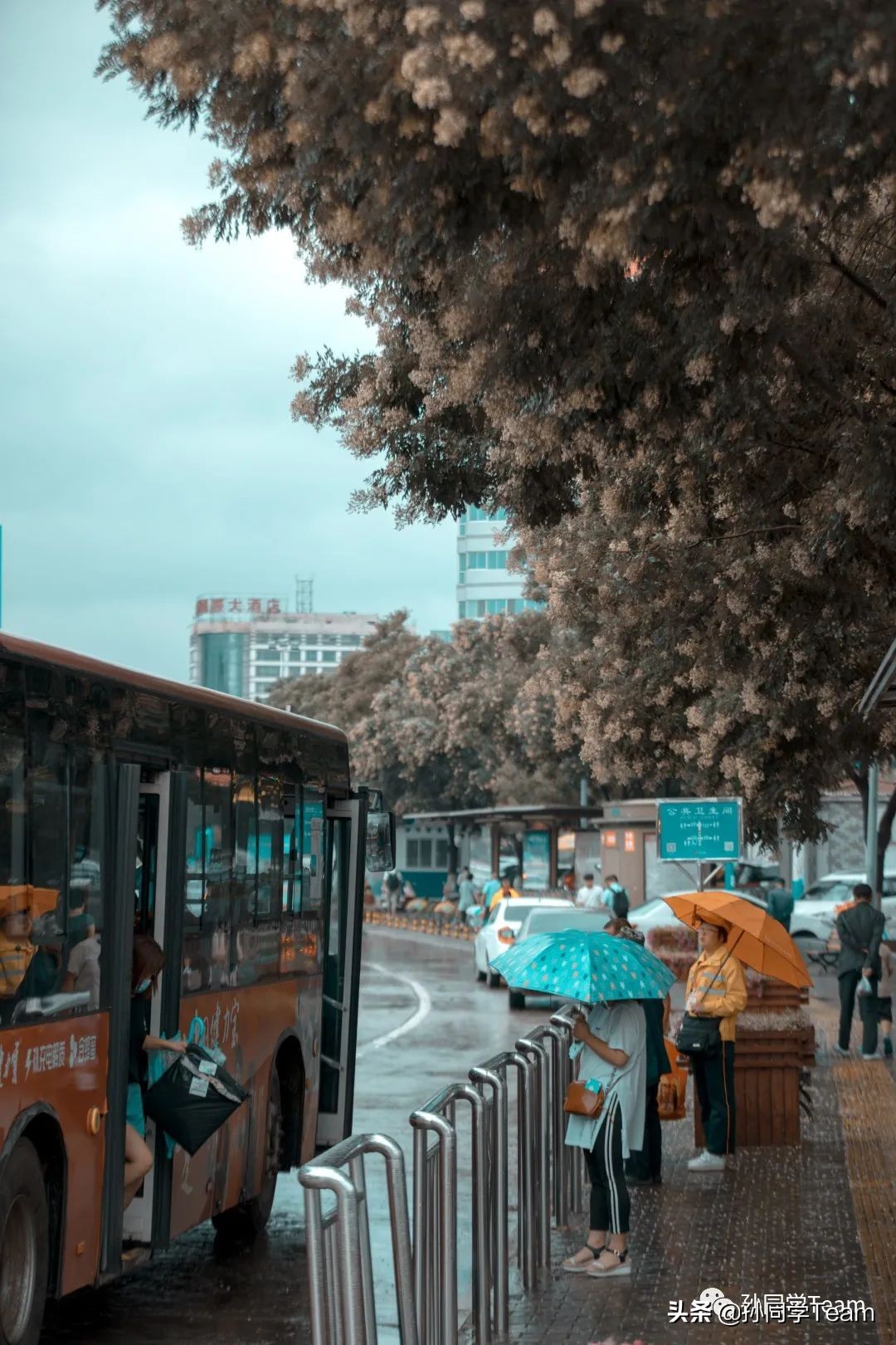 宝藏小众城市榆林,边陲古城榆林