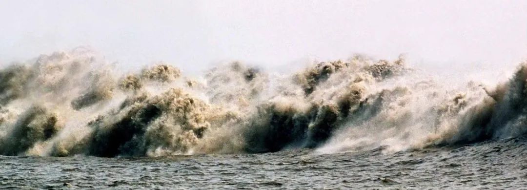 坚定不移沿着习*平近**总书记指引的道路奋勇前进——写在“八八战略”实施20周年之际