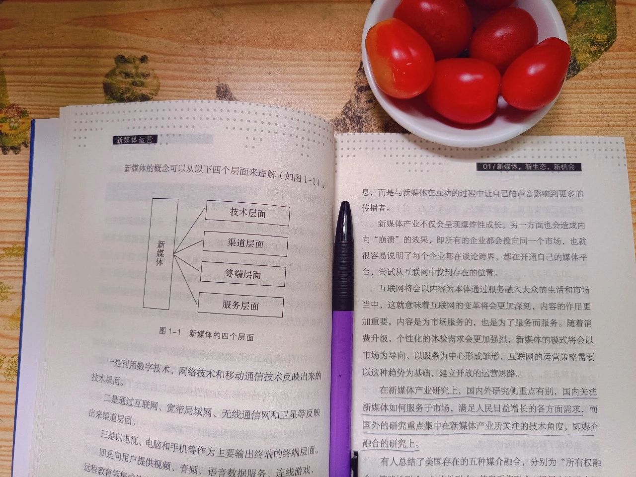 富人思维100种赚钱方法真实案例,真正会赚钱的人都拥有杠杆思维