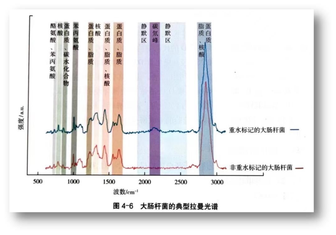 取真经|敢问IVD不卷,路在何方？（下）