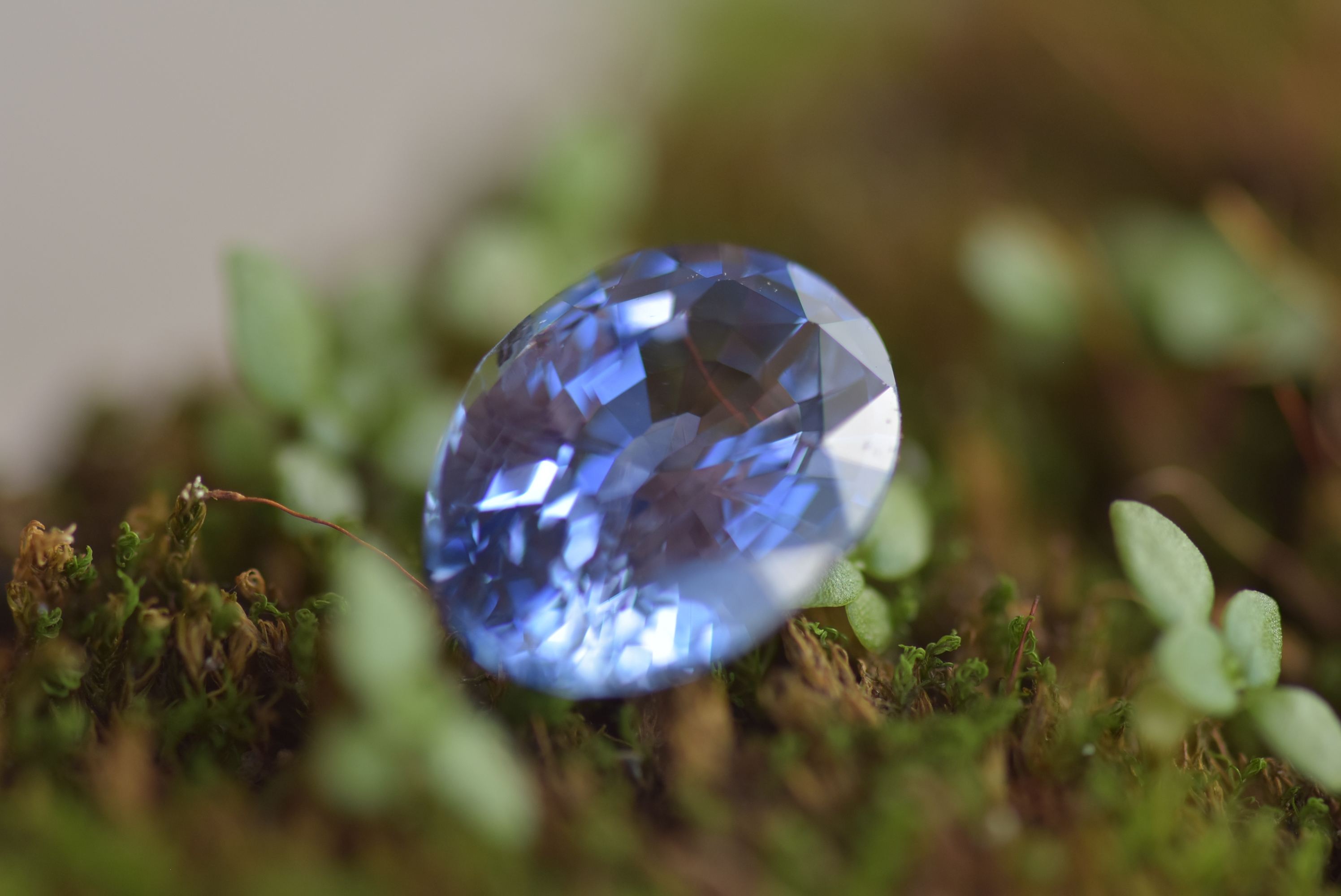 芯片国产芯片哪个最好,目前国产芯片与世界先进芯片差距