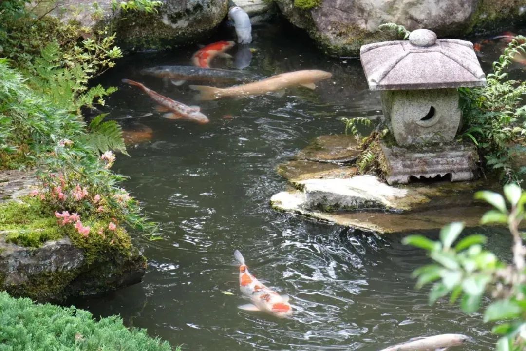 浜兘閰掑簵鎺ㄨ崘鏃ュ紡,浜兘鏃ュ紡鏃呴鎺ㄨ崘