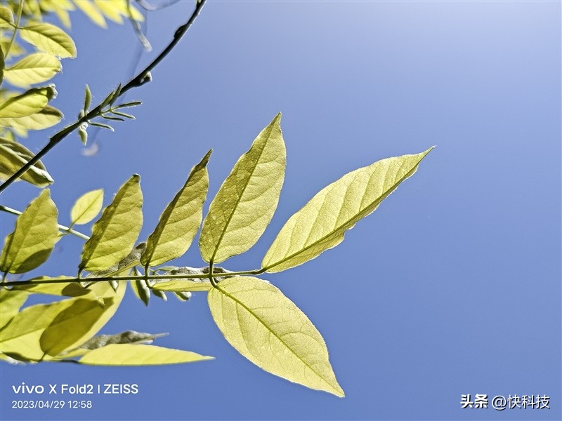 vivoxfold2人像方面评测,vivoxfold2为什么叫全能旗舰