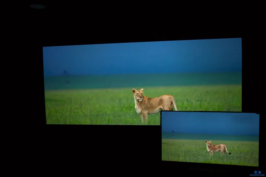 jvcn98和jvcn118实际效果差别大吗,jvcn118亮度