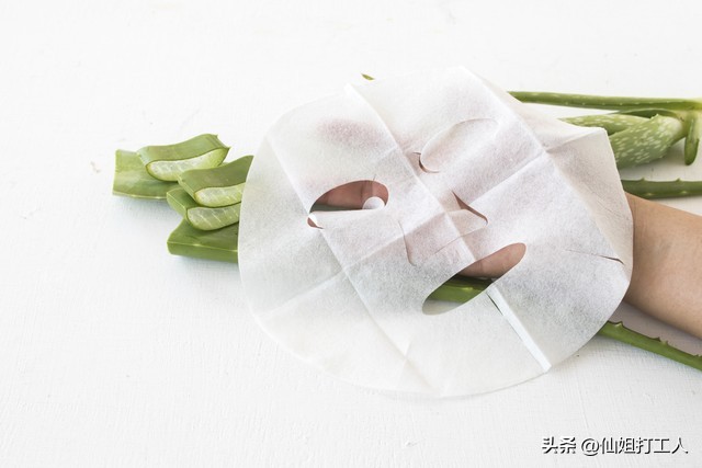 家里养几盆芦荟花最好,家里养一盆芦荟好不好呢