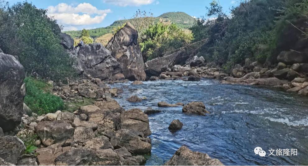 冬樱散场菜花香，蜂飞花间采蜜忙：用一天的时间去邂逅乡野风光