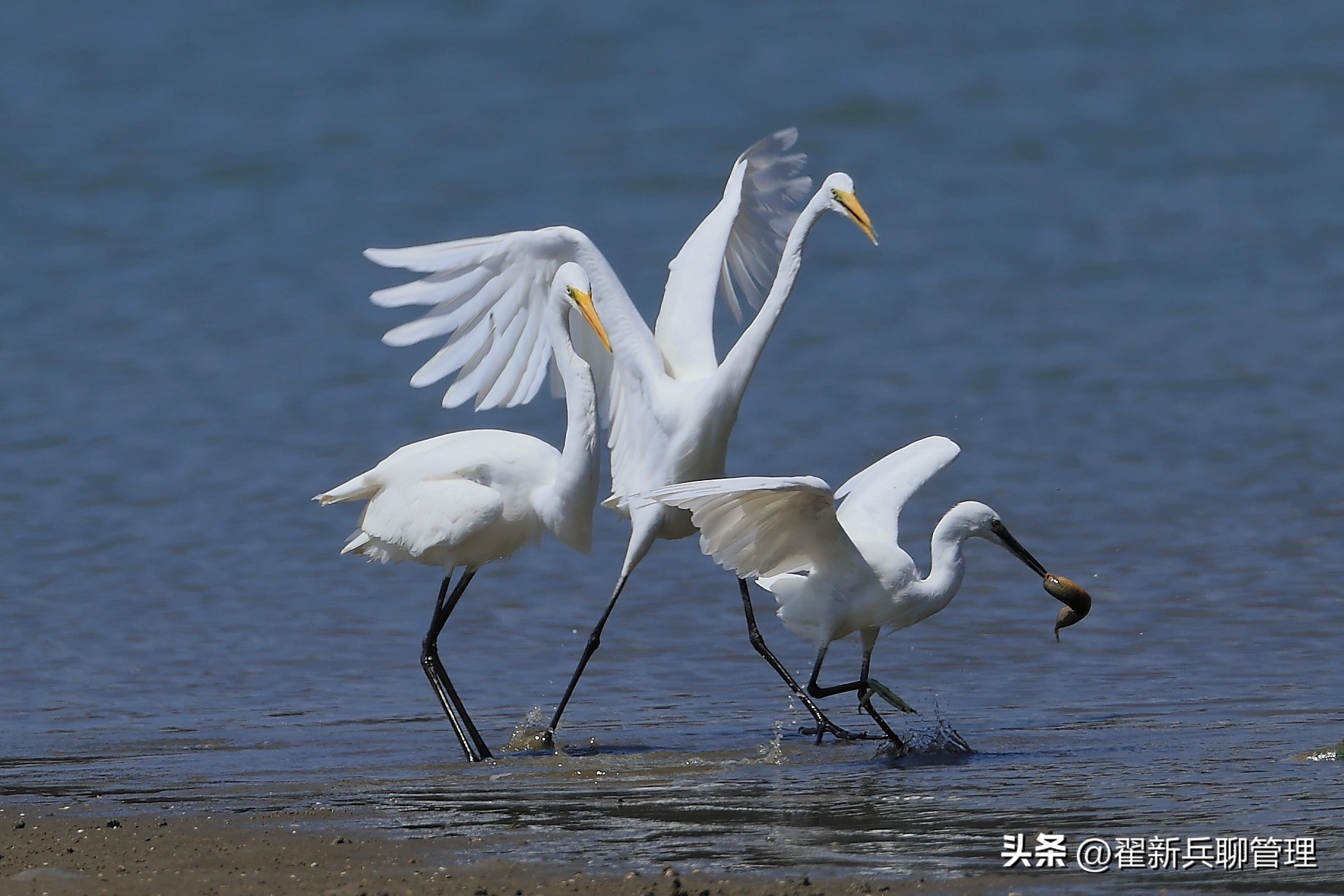 从钓鱼悟到的人生道理,钓鱼路上感悟人生最经典