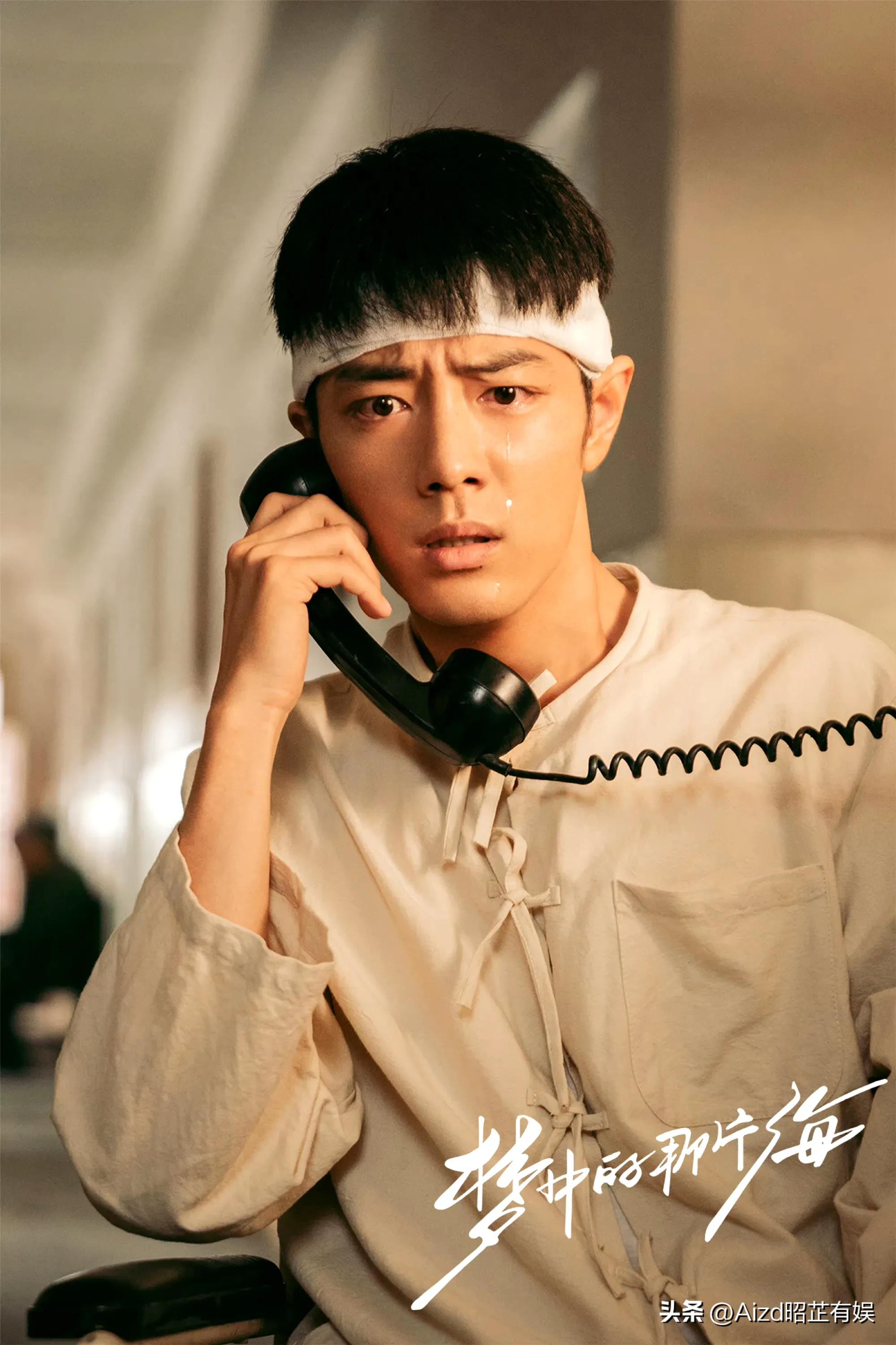 赵丽颖总网播量,赵丽颖网播量统计