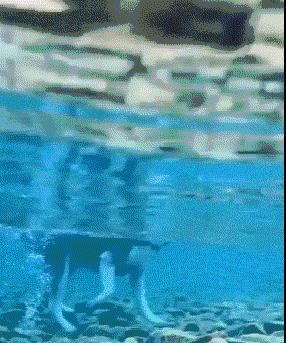 公公给我儿子看病图片,公公陪儿子输液哭了