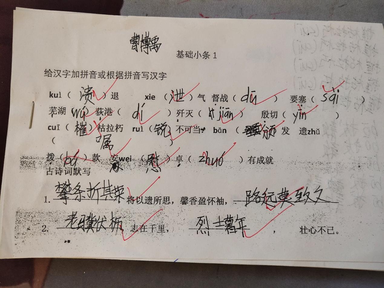 杭锦旗亿利东方学校2022中考成绩,杭锦旗亿利东方中学