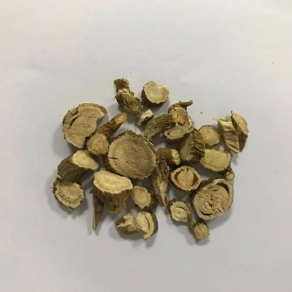 中医治疗心脾两虚的早搏,中医治疗痰饮早搏心悸医案