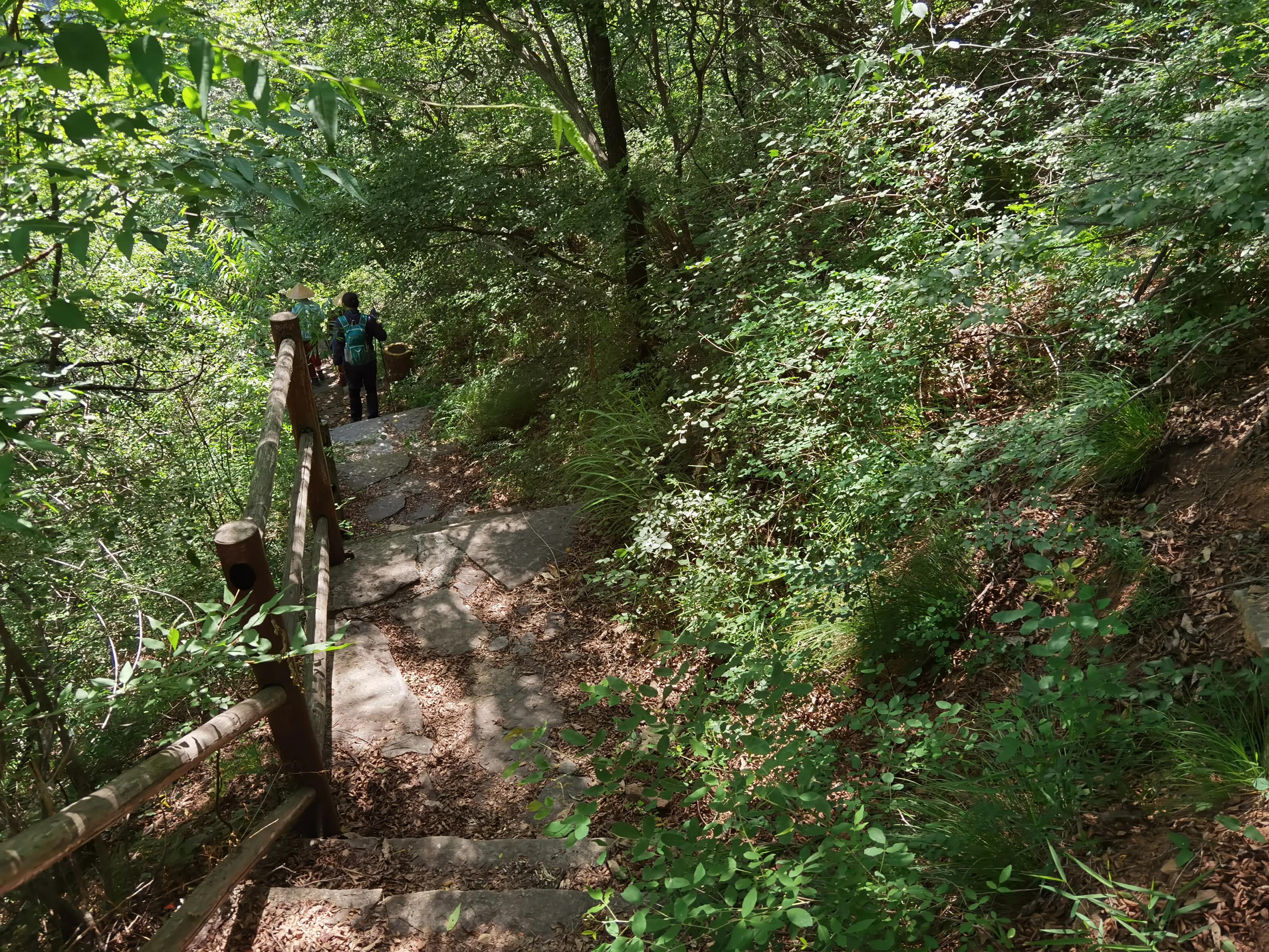 山西陵川休闲避暑胜地,清凉陵川最新视频