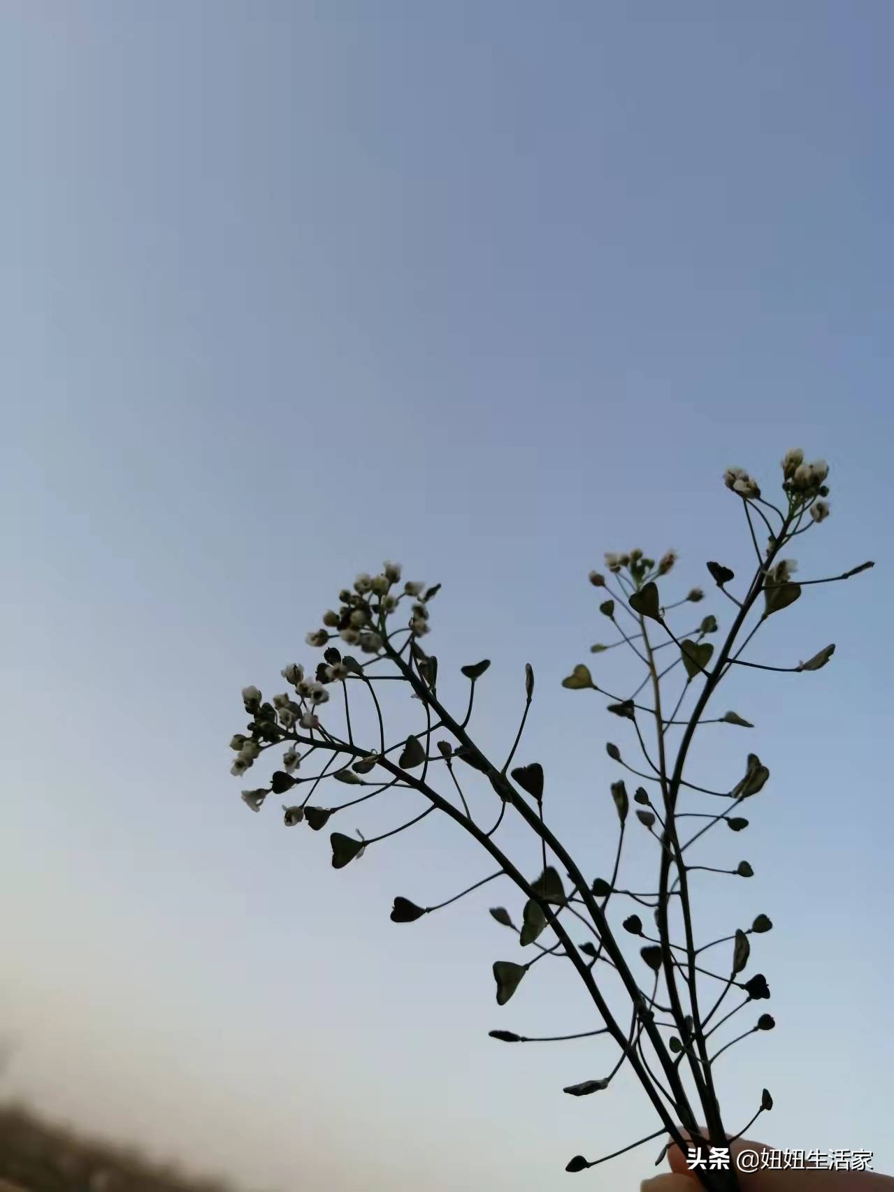 平凡的爱情却总那么细腻,简单平凡而又幸福的爱