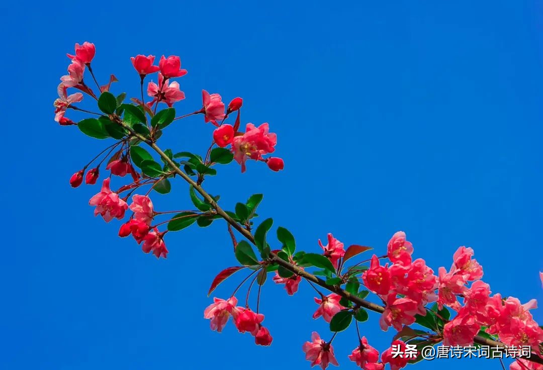 春天在哪里完整版,春天在哪里歌词