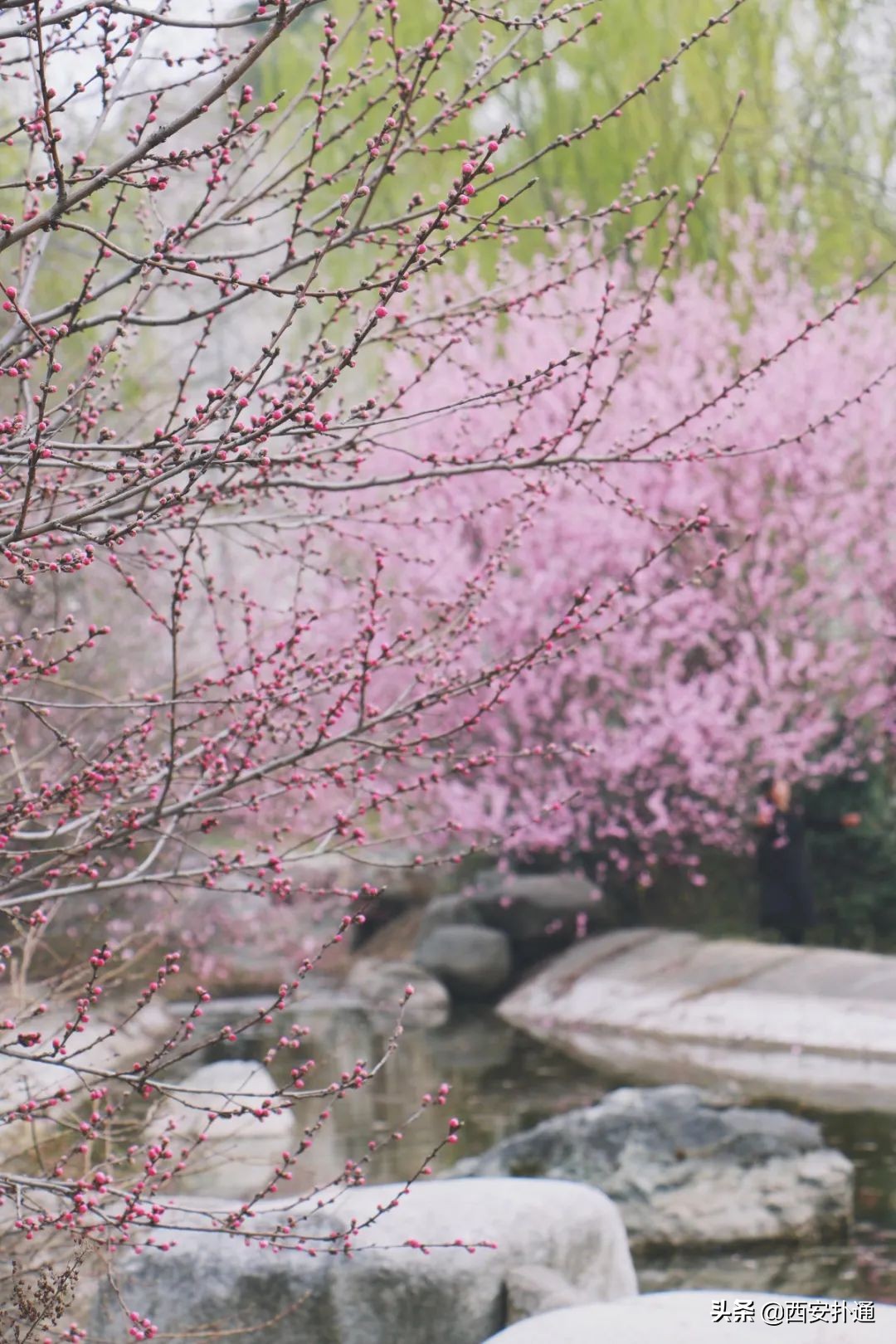 二环，是最新的“老”西安，也藏着美好生活“天花板”