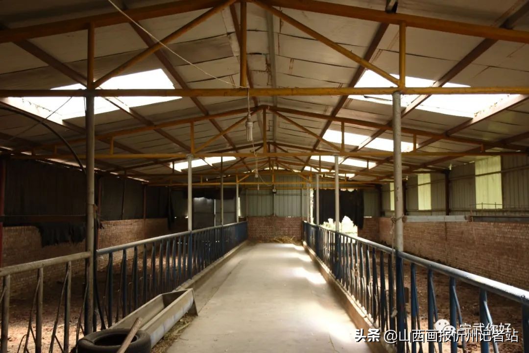 宁化石壁乡村振兴产业,乡镇高质量发展亮点工作汇报