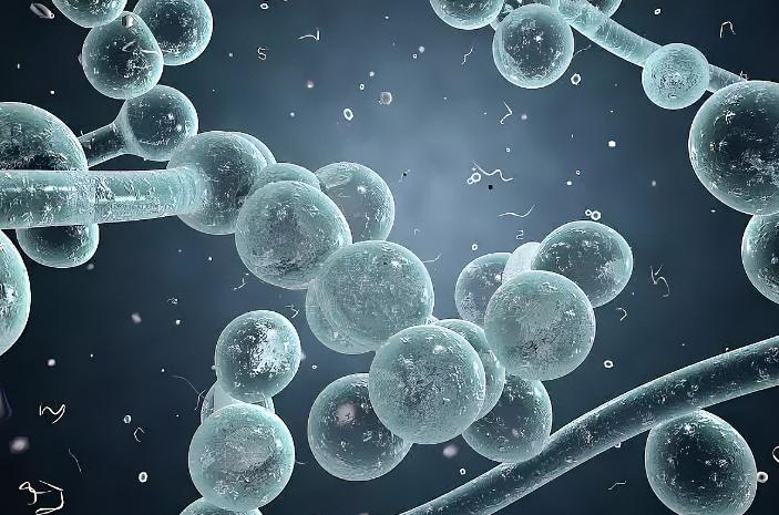 人体卫士和细菌大作战,人体卫士与细菌病毒大作战完整版