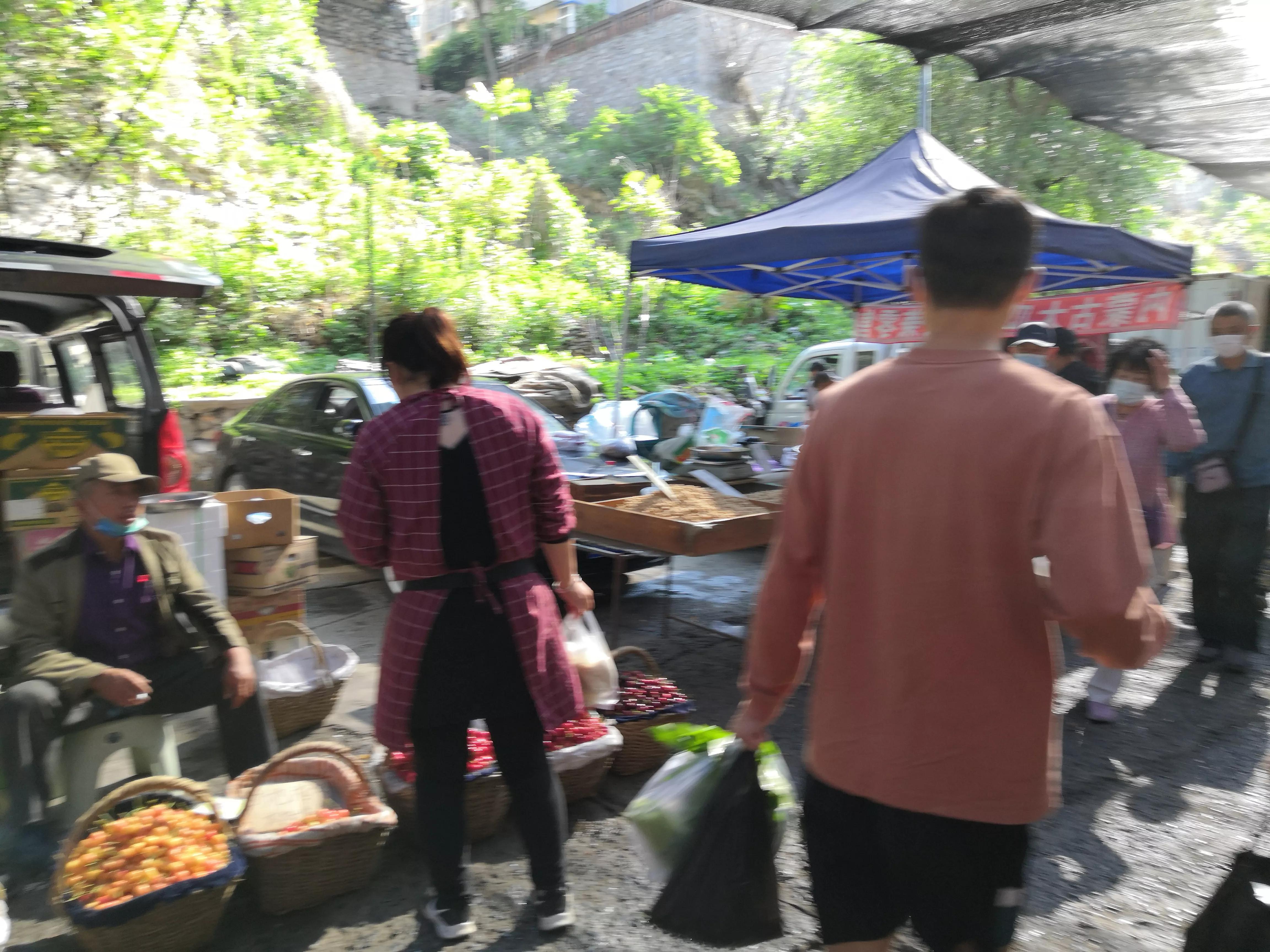 夜来风雨声花落知多少,夜来风雨声花落知多少国画
