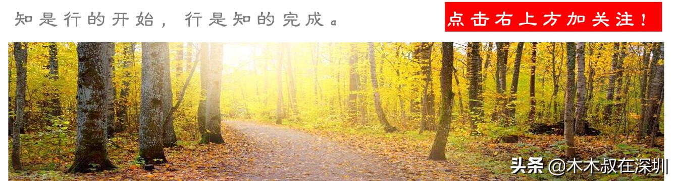 深高速是指哪条高速,粤高速与深高速比较