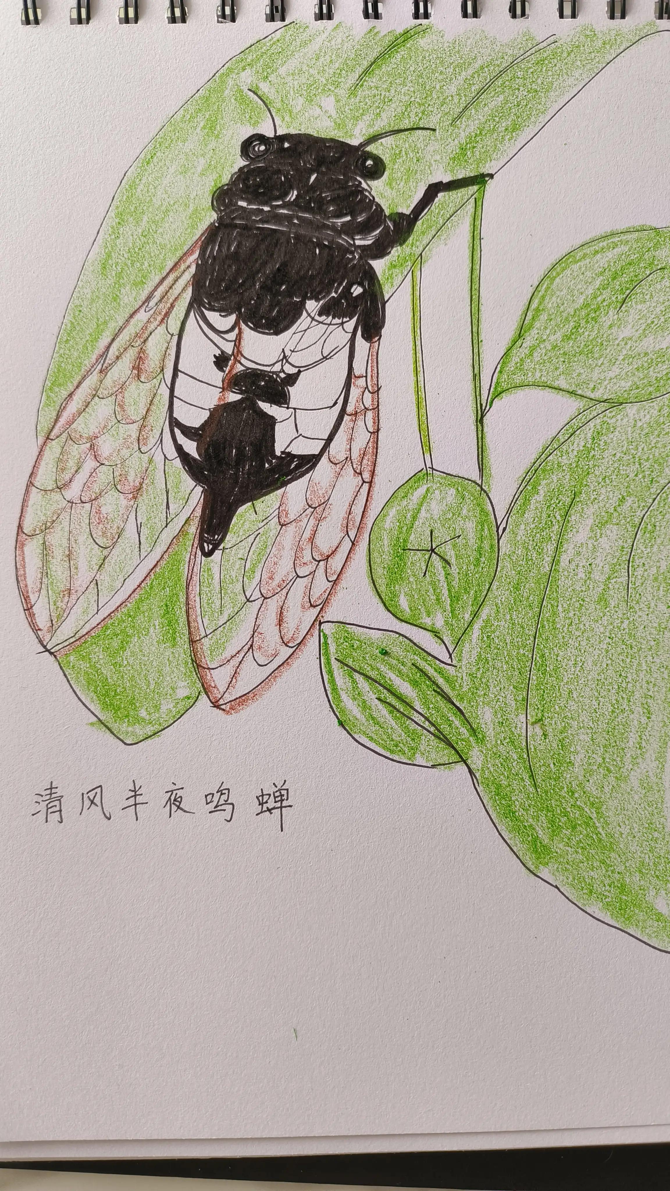 今天读书了吗？书中真的有黄金屋吗？