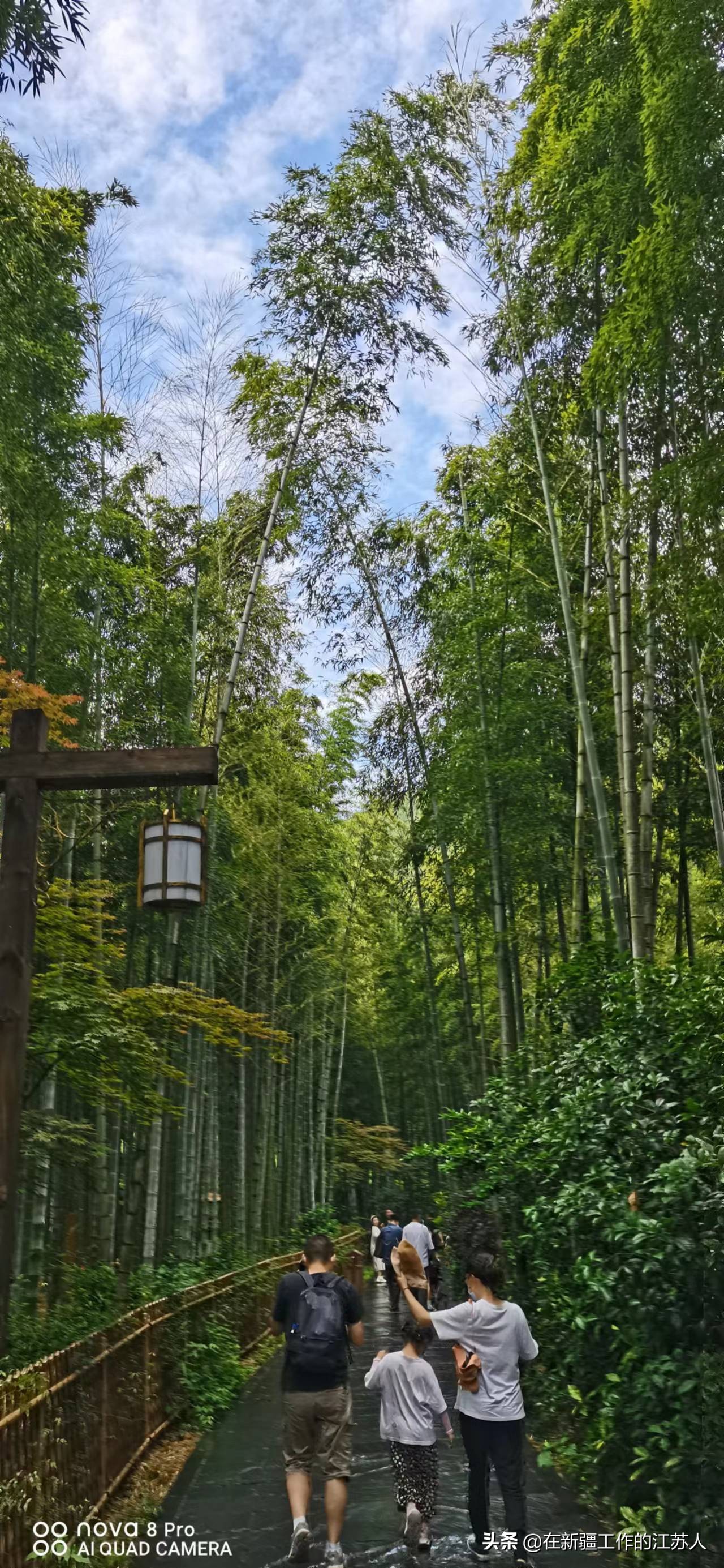 南山竹海是玩什么的,南山竹海最好的地方