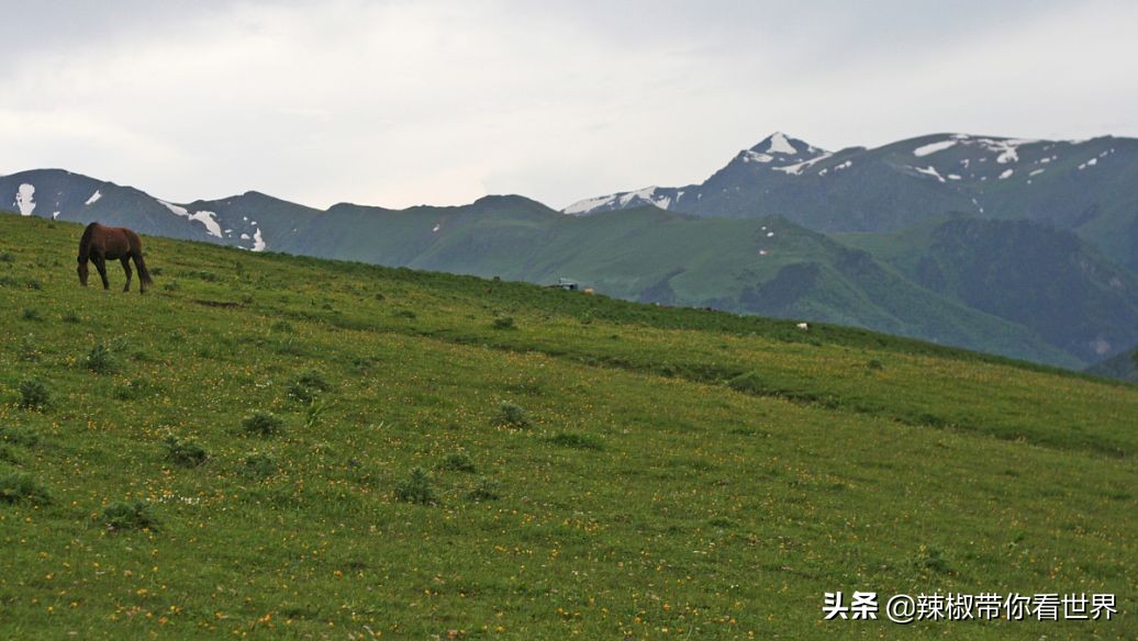 壮美内蒙古鄂尔多斯,内蒙古鄂尔多斯风景