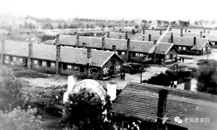 牺牲在北大荒的知青,在火灾中牺牲的消防战士