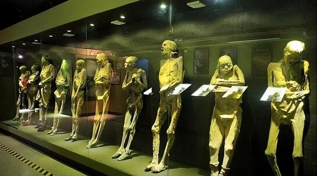 真实恐怖泰国死亡博物馆,泰国恐怖博物馆标本