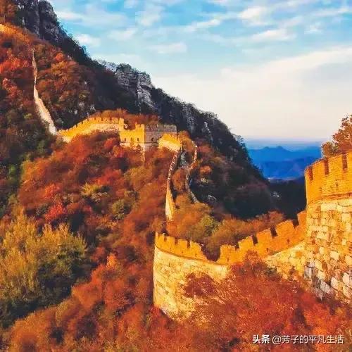 法医秦明第11根手指观后感,法医秦明之读心者电视剧观后感