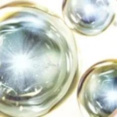 双十一值得入手的抗皱水乳,双十一值得入手的干皮水乳