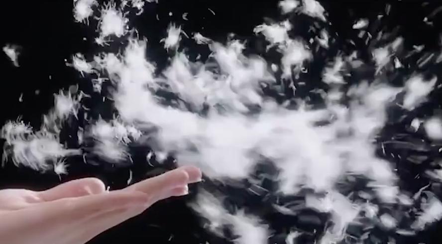 加拿大鹅处罚可能引发消费者维权,加拿大鹅处罚书为何获赞