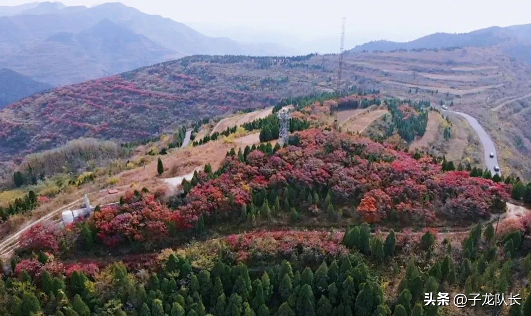 济南红叶一日游攻略,济南无门票观红叶自驾一日游