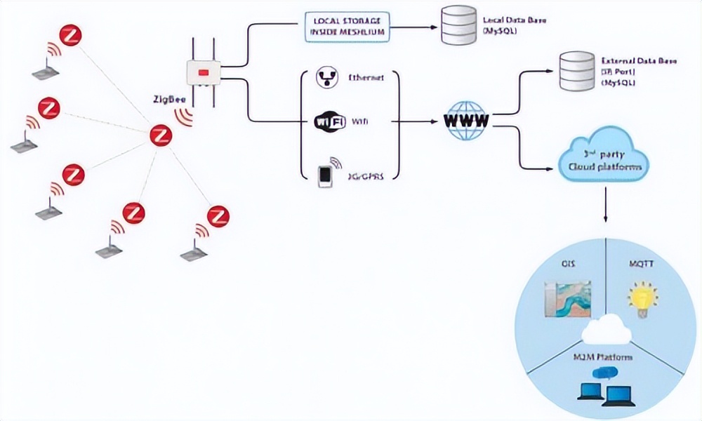 无线传感器网络技术：不同肥料处理下生长的秋葵的比较分析