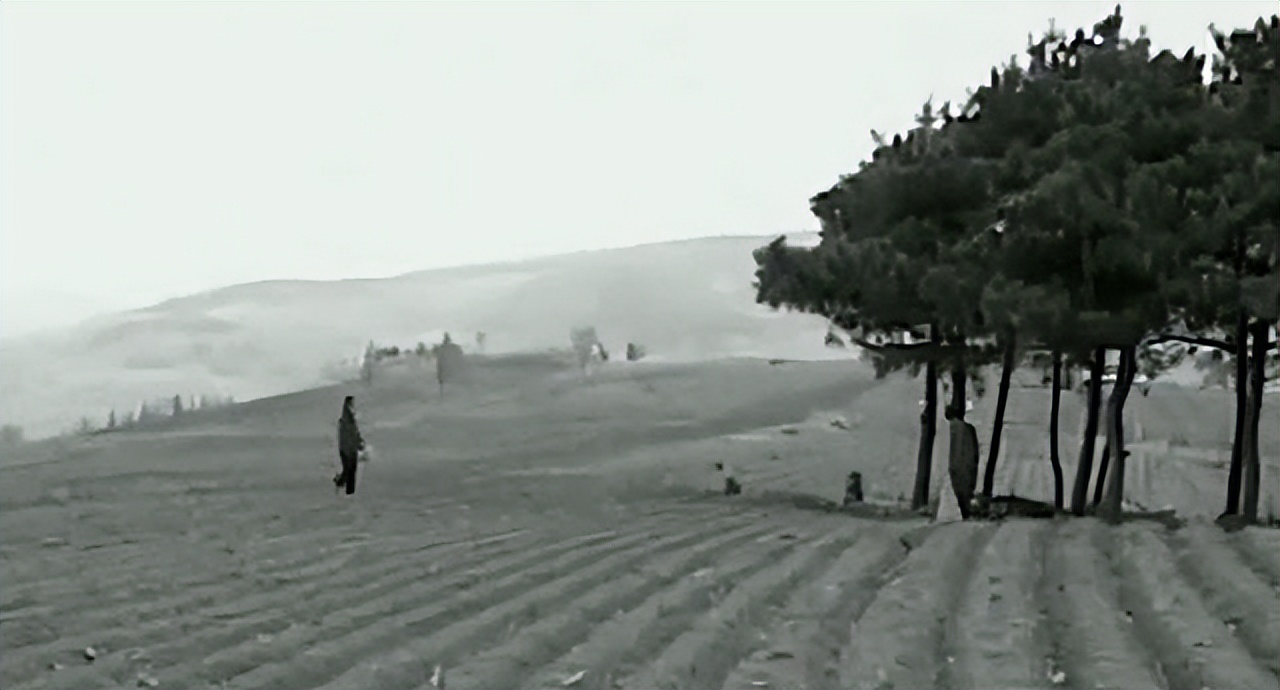 好心奶奶救下蛇20年后,男子救下一条小蛇20年后来报恩