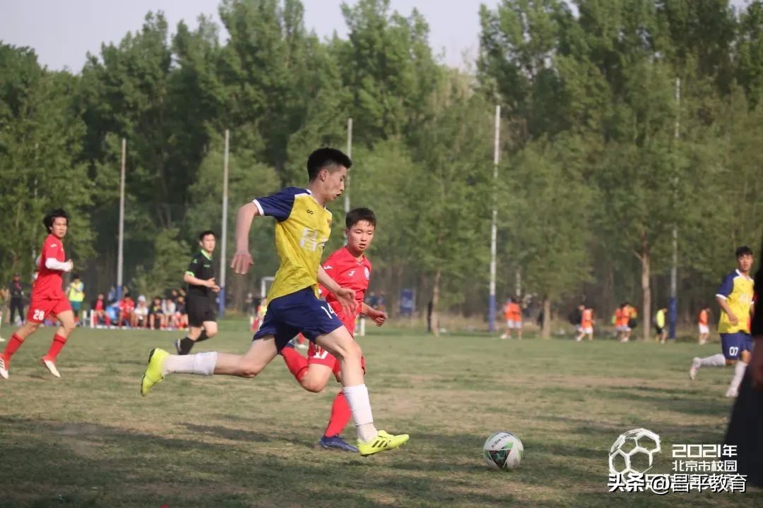 校园足球比赛世界杯,校园里的世界杯