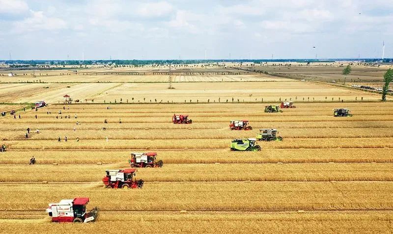 发改委郑栅洁：加快建设现代化产业体系，要重点抓好“五个统筹”