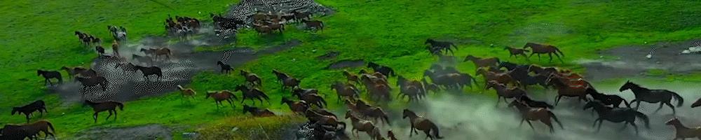 美国危机升级,美国危机尽显大变局