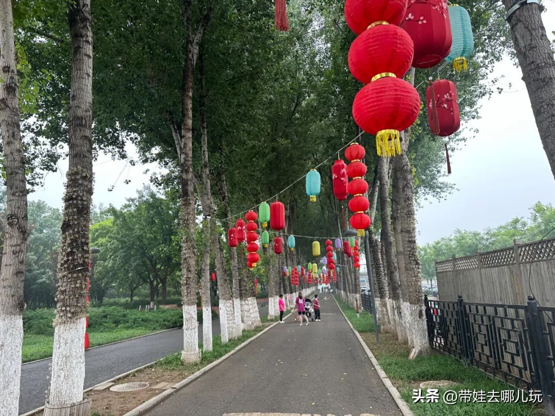 可搭帐篷公园,可以骑车搭帐篷的公园