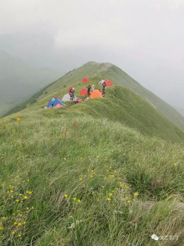 小五台山金莲花坡,小五台金莲花