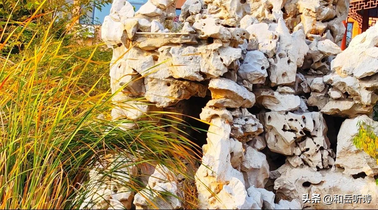 苏东坡的春夏秋冬诗句,春夏秋冬苏东坡