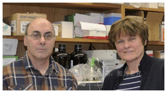 mrna疫苗的研发历程,mrna疫苗的发展趋势