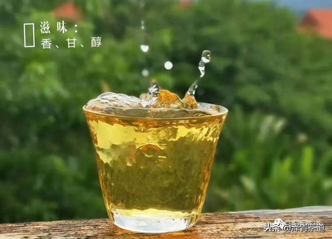 伏天喝什么养生茶最好喝,泡好一杯茶安享三伏天