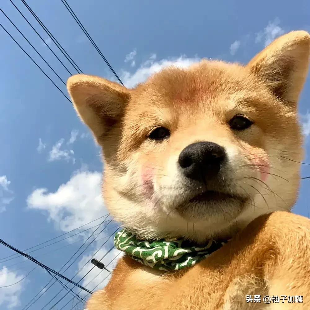 推荐几款小游戏超多的平台,今年上线的最火的几款小游戏