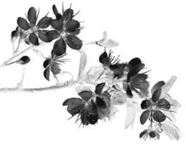 假面潮玩,假面潮玩节